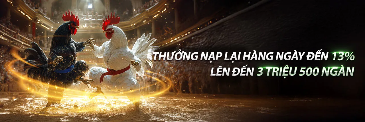Đá gà trực tuyến F8BET8